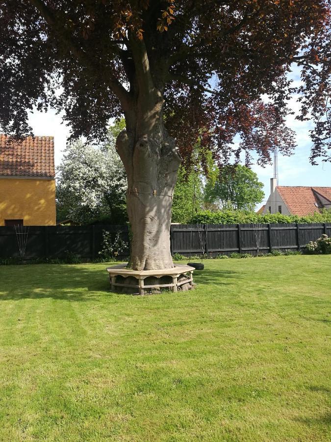 Kjobing Manor Bed & Breakfast Ærøskøbing Exterior foto